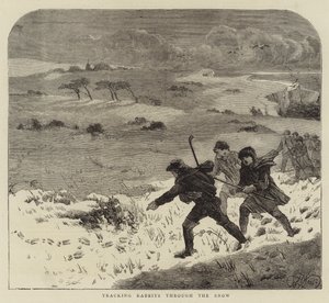 Tracking Rabbits through the Snow